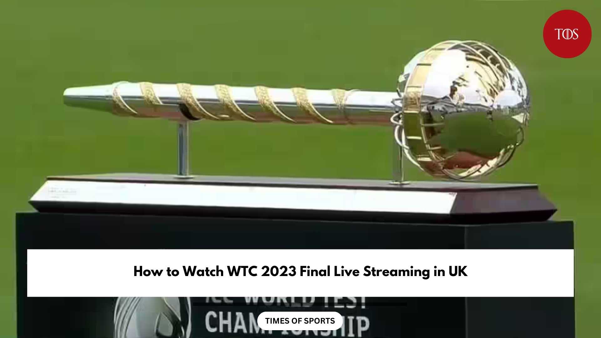 How To Watch Wtc Final Live Streaming In Uk