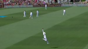 “Jadeja turns into a Bird” in Christchurch : Check Out the Viral video inside