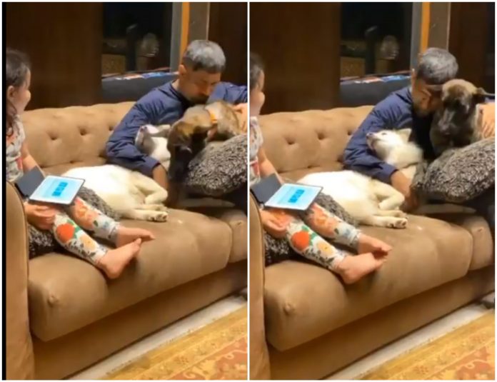 Dhoni cuddling his pet video