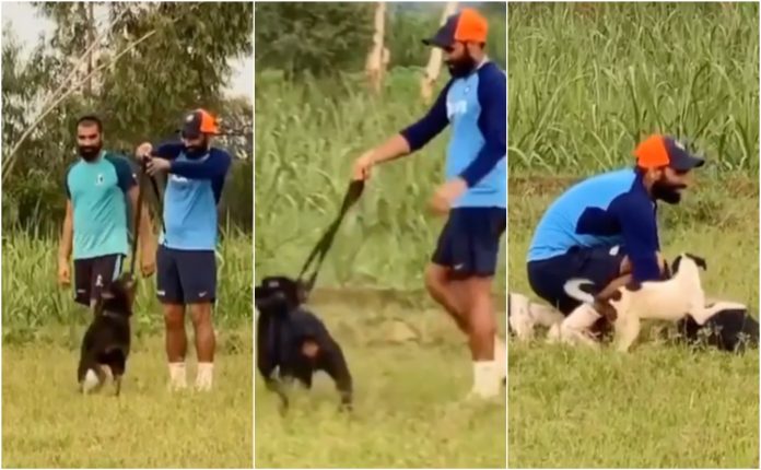 Mohammed Shami Trains with his dog
