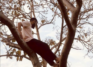 Virat kohli Climbing tree