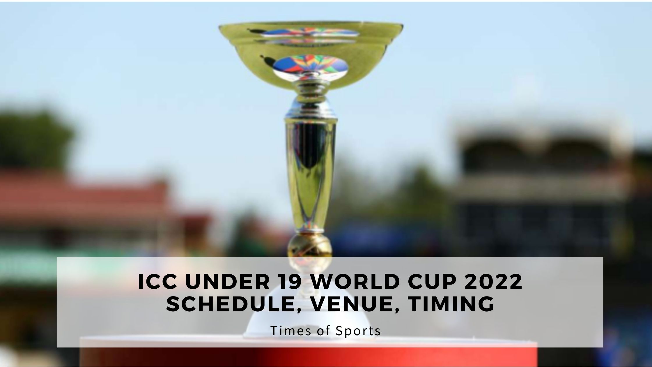 ICC Under 19 World Cup 2022 Schedule