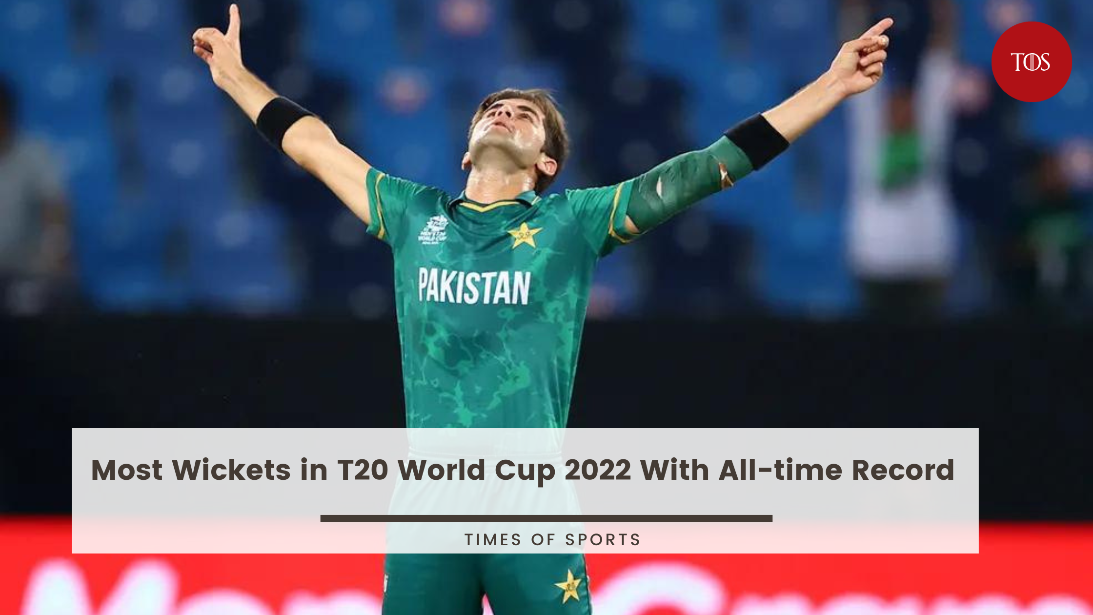 Most Wickets in T20 World Cup 2022 With Alltime Record