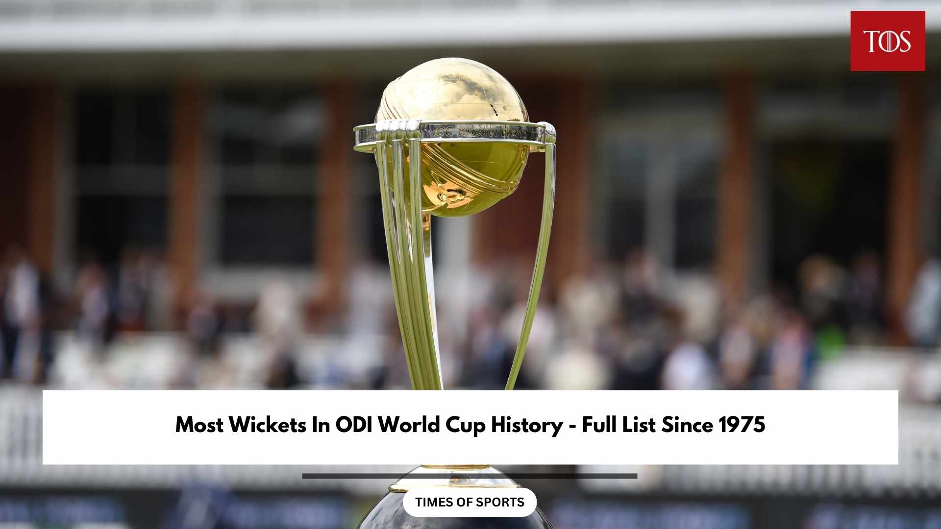 Most Wickets In ODI World Cup History Full List Since 1975