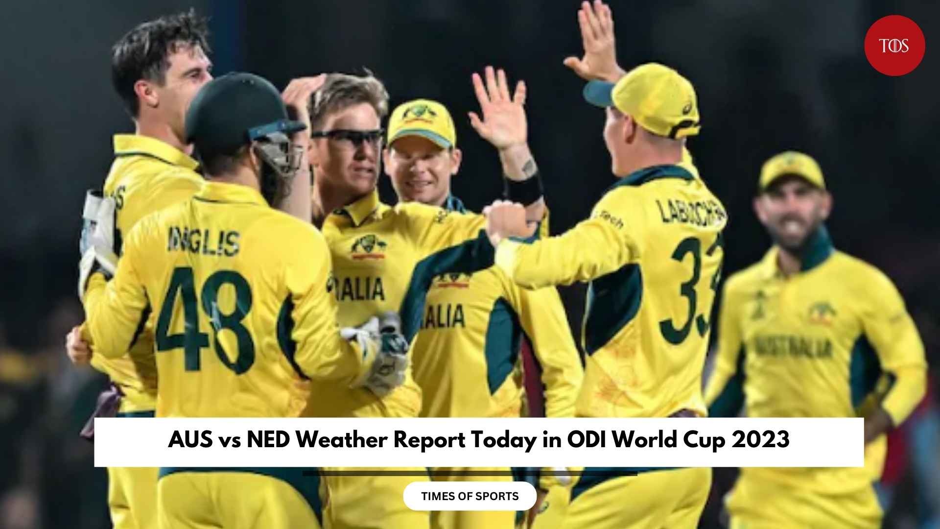 Aus Vs Ned Weather Report Today In Odi World Cup