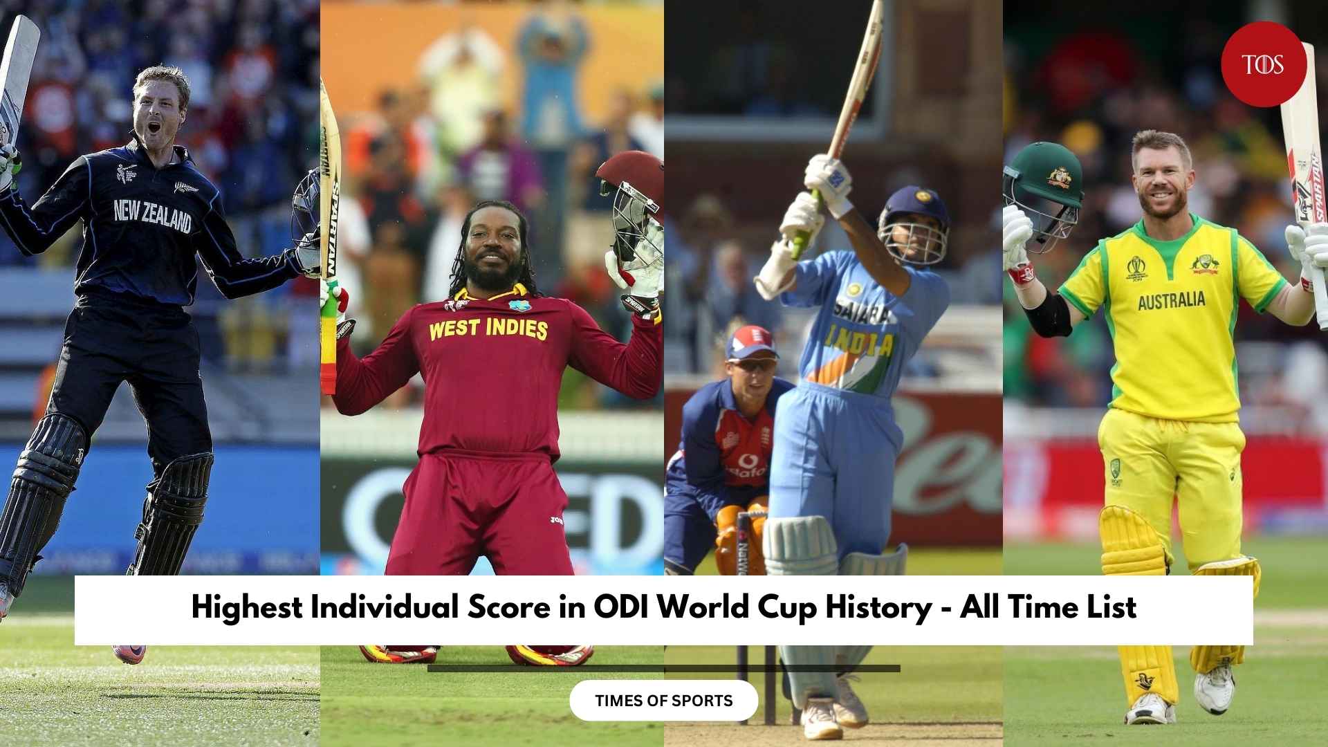 Highest Individual Score in ODI World Cup History - All Time List