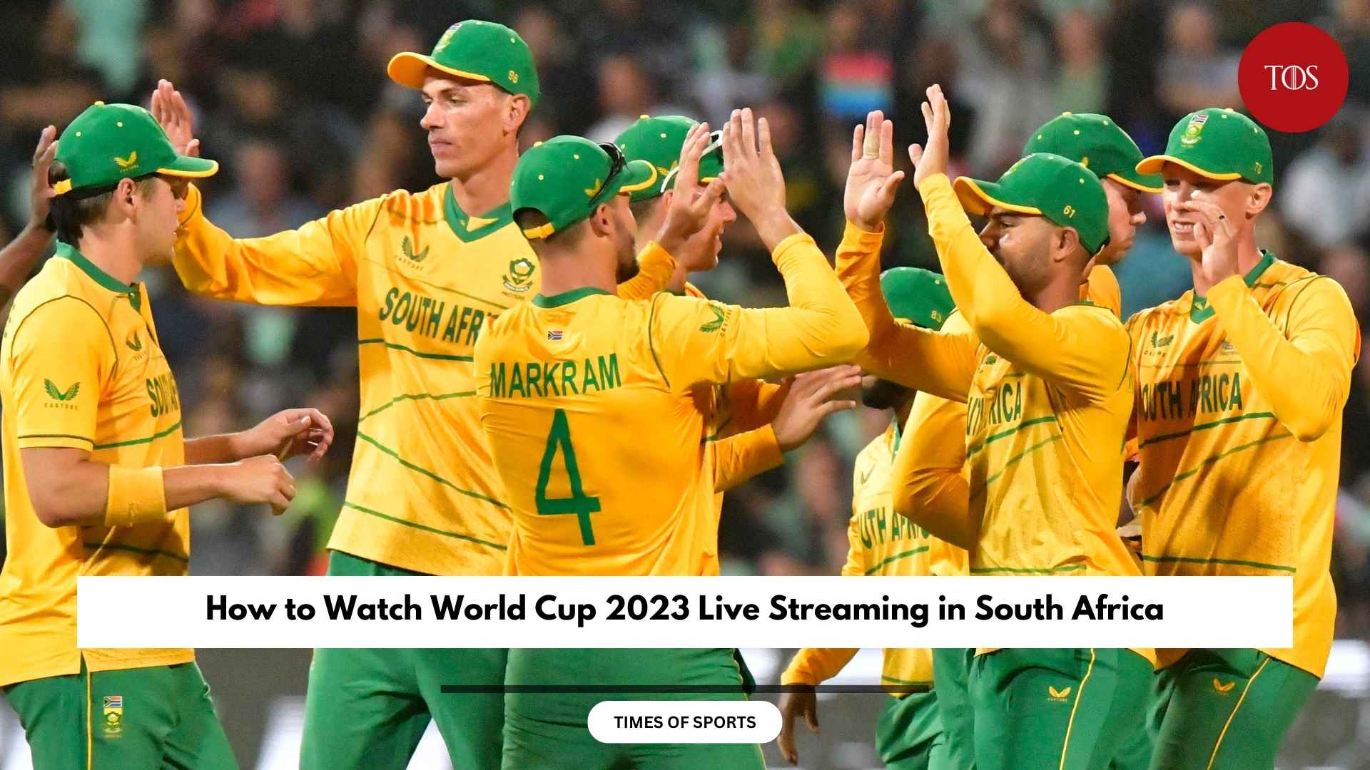 How to Watch World Cup 2023 Live Streaming in South Africa