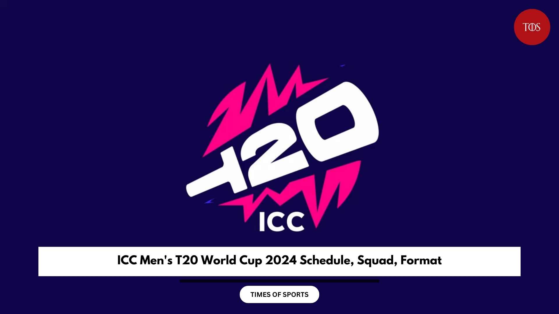 ICC Men's T20 World Cup 2024 Schedule, Squad, Format