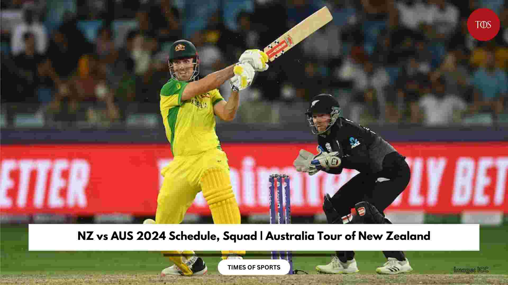 NZ vs AUS 2024 Schedule, Squad Australia Tour of New Zealand