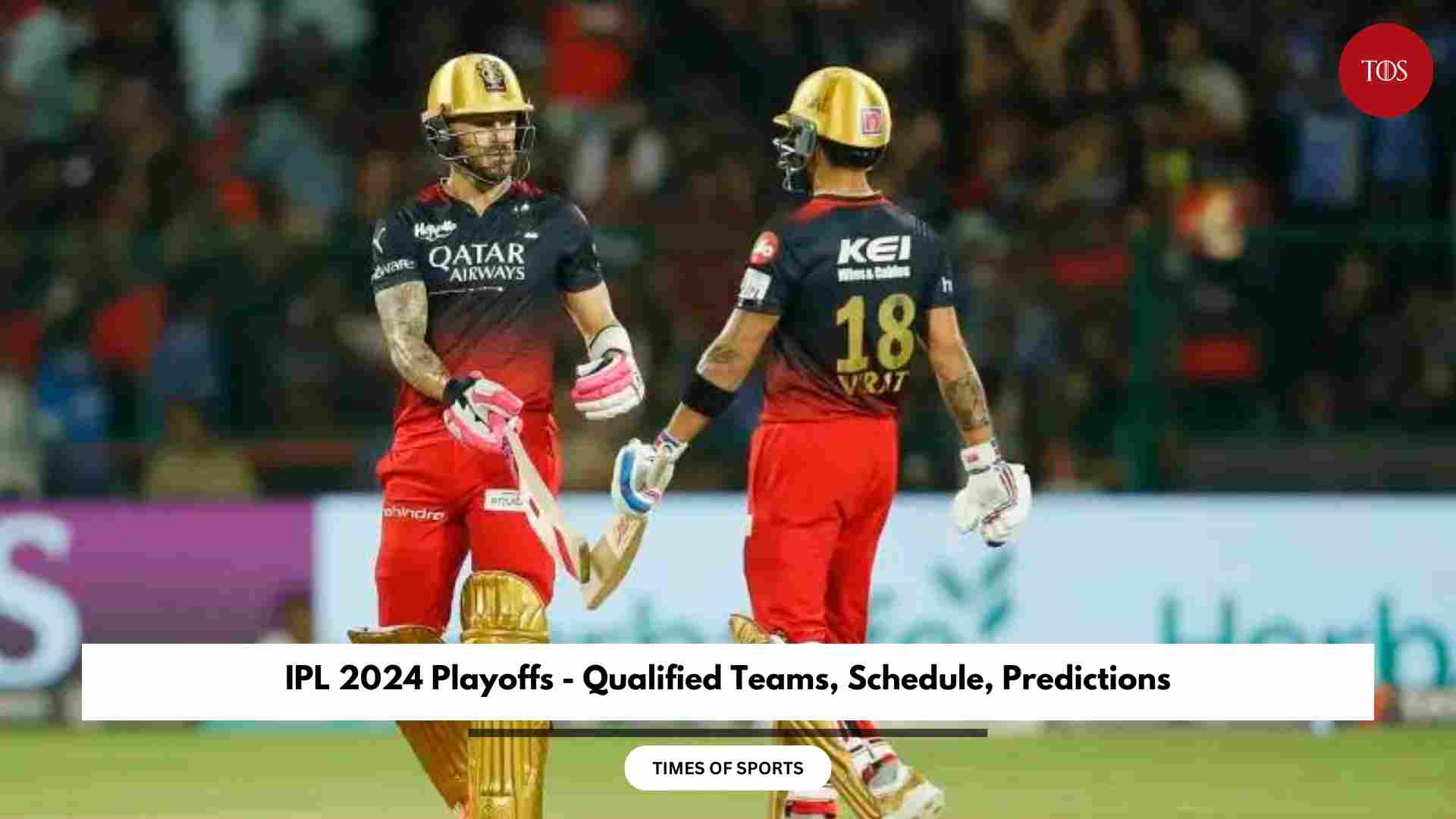 IPL 2024 Playoffs Qualified Teams, Schedule, Predictions