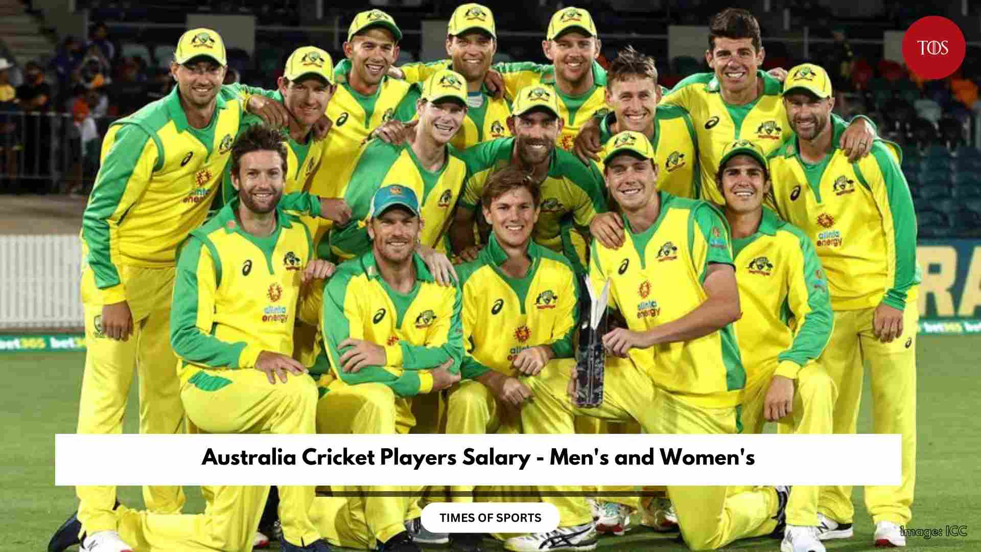 Australia Cricket Players Salary Men S And Women S Full List   Australia Cricket Players Salary 