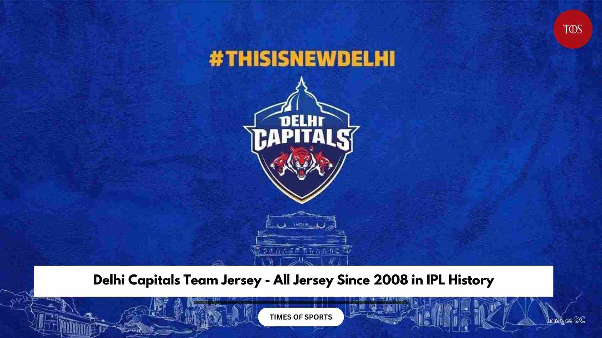 Delhi Capitals Team Jersey