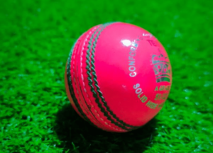 Pink Cricket ball