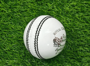 White cricket ball