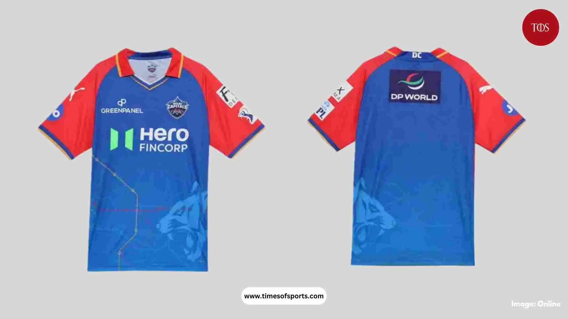 IPL DC Jersey